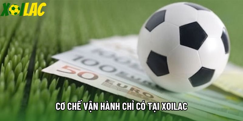 Cơ chế vận hành chỉ có tại Xoilac Cơ chế vận hành chỉ có tại Xoilac