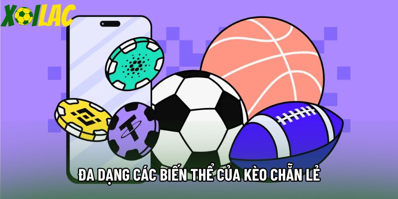 Đa dạng các biến thể của kèo chẵn lẻ Đa dạng các biến thể của kèo chẵn lẻ