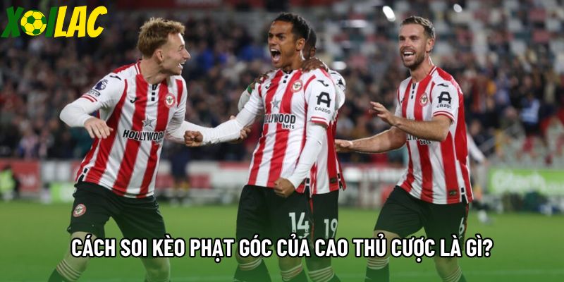 Cách soi kèo phạt góc của cao thủ cược là gì? Cách soi kèo phạt góc của cao thủ cược là gì?