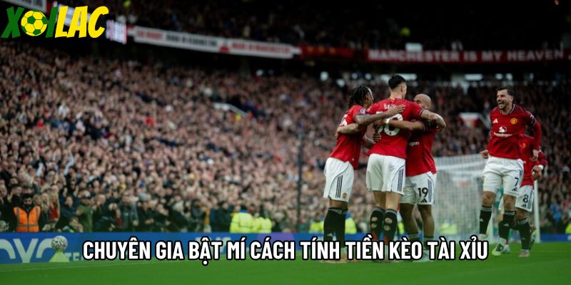 Chuyên gia bật mí cách tính tiền kèo tài xỉu Chuyên gia bật mí cách tính tiền kèo tài xỉu