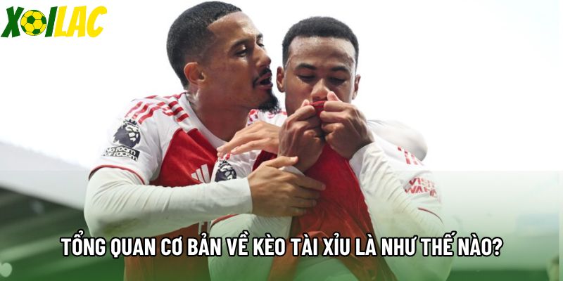 Tổng quan cơ bản về kèo tài xỉu là như thế nào? Tổng quan cơ bản về kèo tài xỉu là như thế nào?