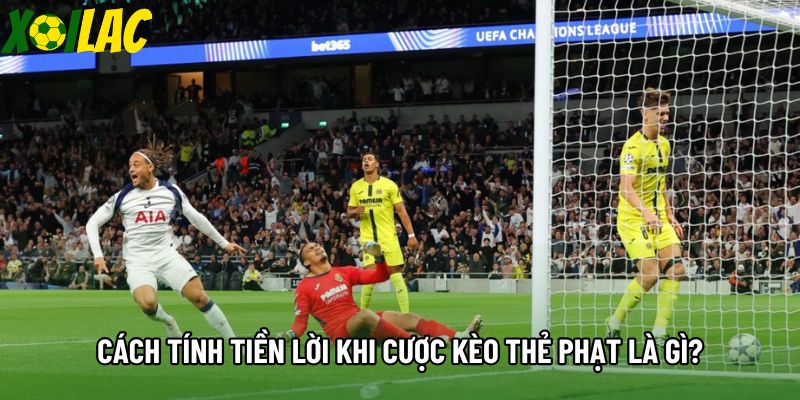 Cách tính tiền lời khi cược kèo thẻ phạt là gì? Cách tính tiền lời khi cược kèo thẻ phạt là gì?