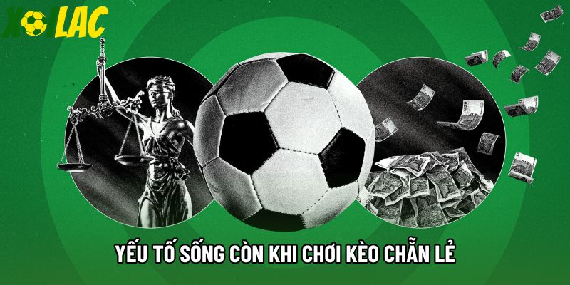 Yếu tố sống còn khi chơi kèo chẵn lẻ Yếu tố sống còn khi chơi kèo chẵn lẻ